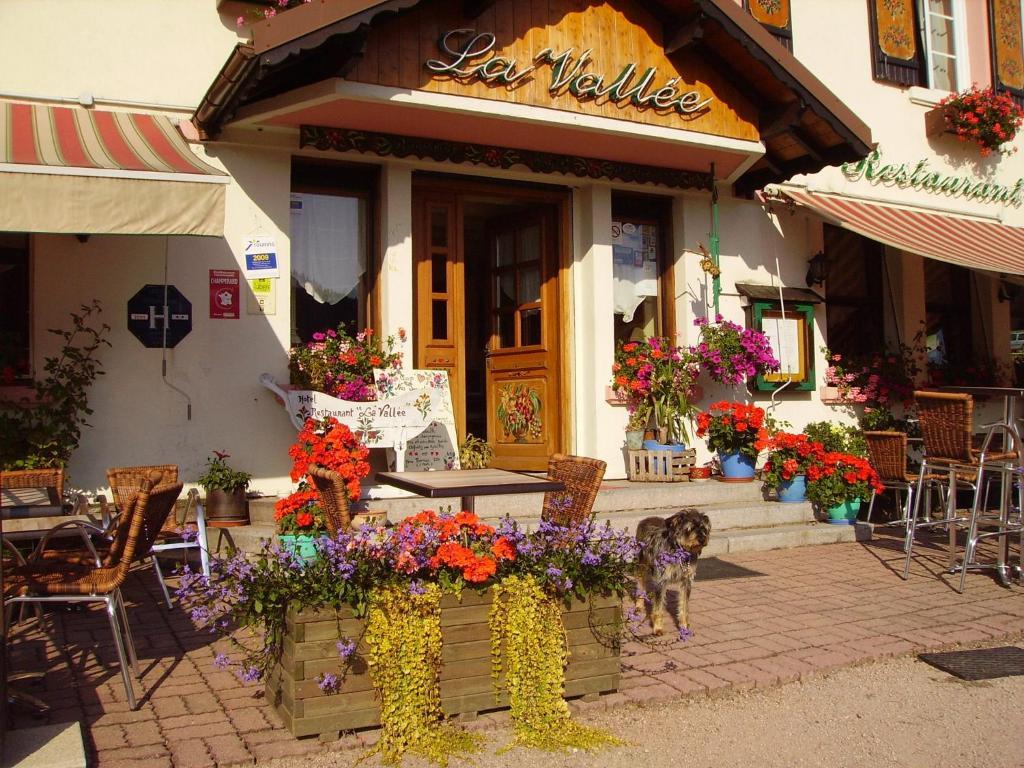 Hotel La Vallee Xonrupt-Longemer Εξωτερικό φωτογραφία